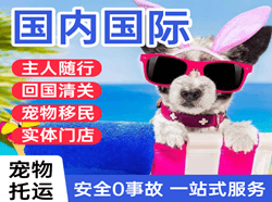 栎社机场托运国际宠物托运 【国